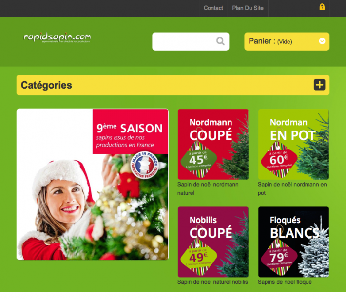 rapidsapin.com